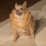 702latino from onlyfans