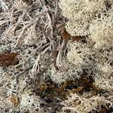 u320275993 from onlyfans