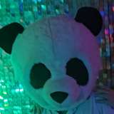 bootsandpants from onlyfans